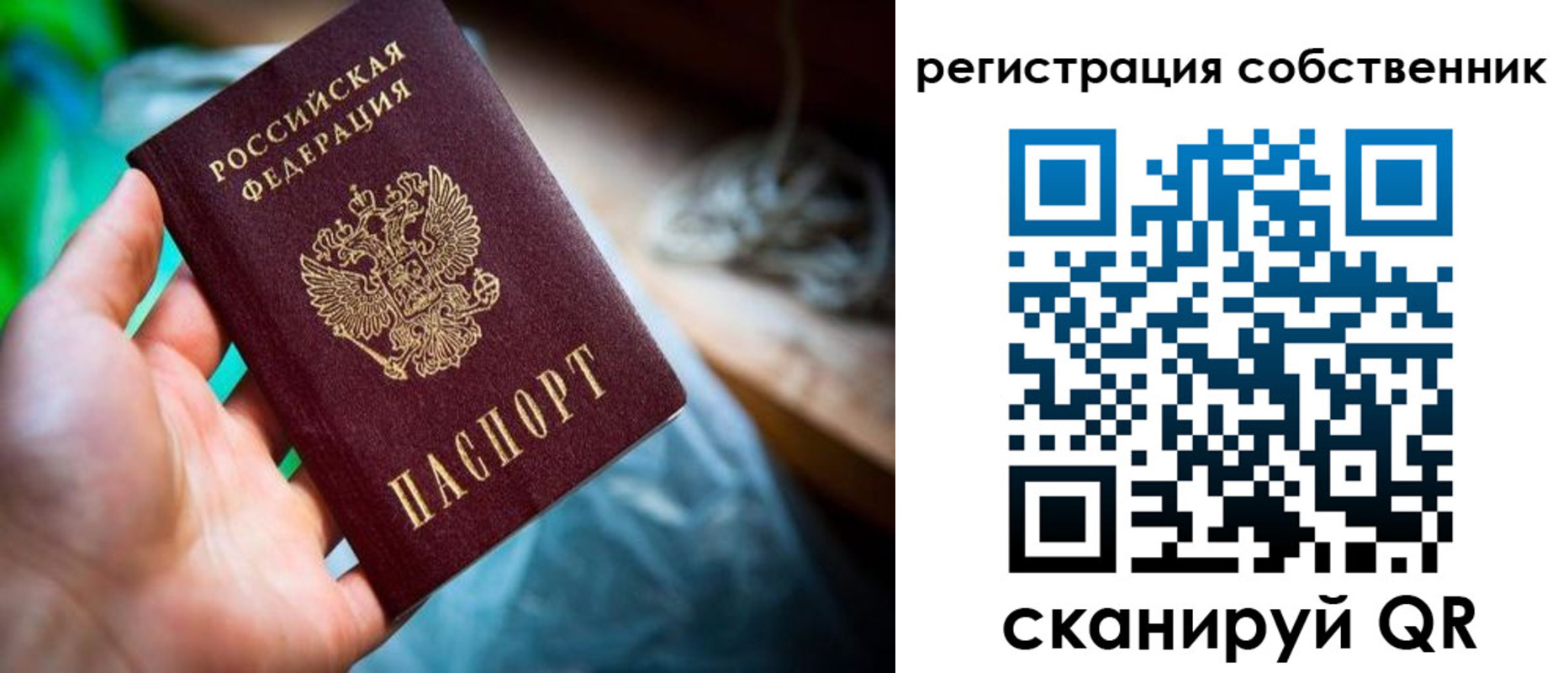 прописка гарантия в Отрадном